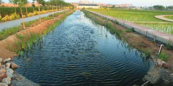 郸城：连通沟渠惠民生 活水长流润沃田野